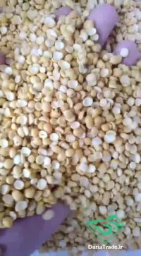 قیمت لپه آذرشهر در سال 99