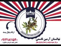 خرید نهال پسته 09141811520