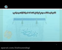 کیش و زندگی - یک انتخاب خوب برای آینده - مشارکت حداکثری