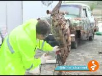 هنرنمایی مجسمه سازان ایران در باکو