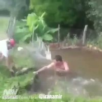 ماهیا ترسیدن پریدن از آب بیرون