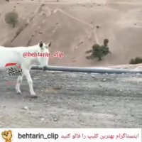 فیلم خنده دار