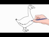 نقاشی غاز کودکانه مرحله به مرحله