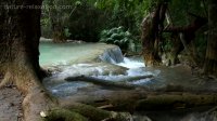 Waterfall & Jungle Sounds 4 - Relaxing Tropical Rainforest Nature Sound - Singing Birds Ambience