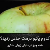 همه چیز از دید ماکرو