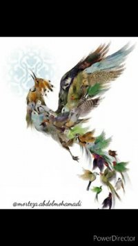 هفت شهر عشق