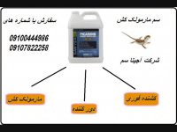 سم مارمولک کش و دفع کننده سریع مارمولک /سم خارجی بدون بو