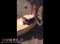 شکنجه وحشیانه یک گارگر توسط کارفرمایان