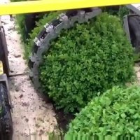 دستگاه حرص بوته ی تمام اتوماتیک