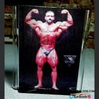 تندیس عکس لنتیکولار