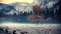 Autumn in Yosemite National Park