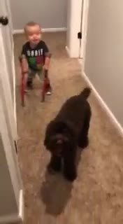 منو ببین مگی دارم راه میرم 😍