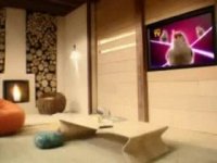 تصور من از خونه زندگی پرنده ها