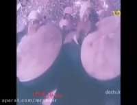 وقتی مجسمه های رضاشاه در زمان مصدق و بدستور وی پایین کشیده شد پهلوان تختی نیز در این کار سهیم بود