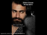 مهدی پایمرد دیوار دنیا, divare donya mahdi paymard