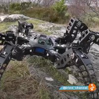 عنکبوت رباتی