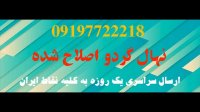 گردو فرانسوی شناسنامه دار  09124482642