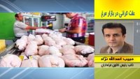 علت گرانی بازار مرغ چیست ؟