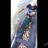 ماهیگیری جالب