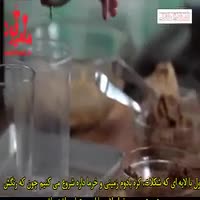 طرز تهیه کیک کره بادام زمینی با شکلات