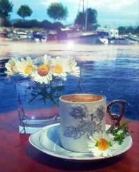 کلیپ صبح بخیر بهاری