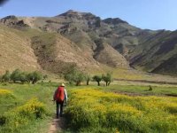 سفرهای ماجراجویانه گرگان تماشا