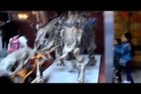 موزه تاریخ طبیعی لندن