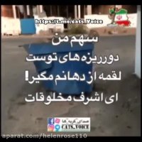 میشه مقدارى آب و غذا براى حیوانات بى پناه بگذارى؟؟