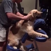 وقتی روز سختی داشتی