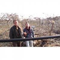 شعبده بازی با کیوی!