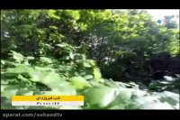 سفری کوتاه به هوراند آذربایجان شرقی