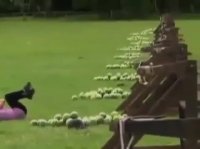 خدابیامرز ترکید !