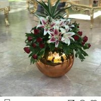 فروش دستگاه مخمل پاش/جیر پاش/ابکاری/استیل پاش