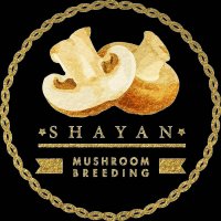 آموزش راه اندازی سالن تخصصی پرورش قارچ مهندس دلشاد 09120342573