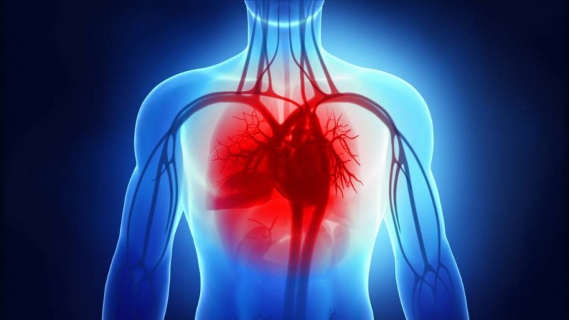 استفاده از قلب مصنوعی به دلیل تعداد کم پیوند قلب