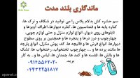 نابودی ساس ها با سم بدلام پلاس برای همیشه
