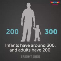 داستان خارق‌العاده استخوان‌های انسان