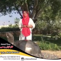 مرگبارترین ساحل جهان