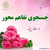 جستجوی تفاهم محور در سامانه همسان یابی پیوند