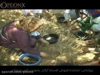 ویدیو روغن گیری آرگان خالص در کشور مراکش