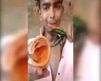 خدایی خوردن این فلفل ها جرات می خواد