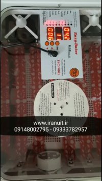 جوجه کشی های گارانتی و تضمینی در سایز مختلف