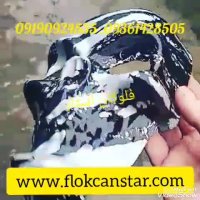 هیدروگرافیک فلوکان استار/واردکننده فیلم هیدروگرافیک فلوکان استار/تولیدکننده دستگاه هیدروگرافیک فلوکان استار