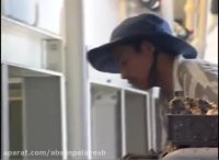 معرفی پروژه ی عظیم آب شیرین کن Carlsbad در آمریکا