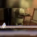 دختر کفشدوزکی-انیمیشن دختر کفشدوزکی-دانلود دختر کفشدوزکی