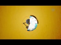 اعدام ارنستو چه گوارا