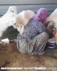 رنگ و طعم زندگی روستایی و زنان روستا