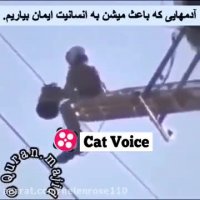 نجات پرنده درگیر در هوا توسط هلى كوپتر