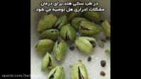 خواص درمانی و بی نظیر دانه ی هل
