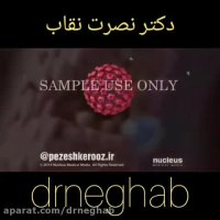 آیا واکسن زگیل تناسلی (اچ پی وی) ضروری است؟